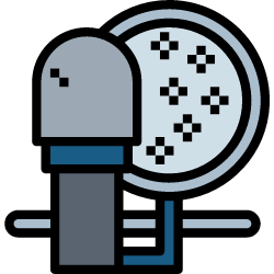 audio element 250^2